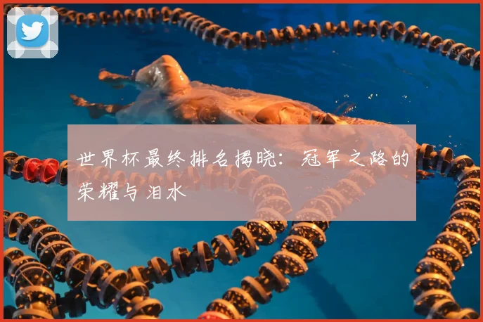 世界杯最终排名揭晓：冠军之路的荣耀与泪水