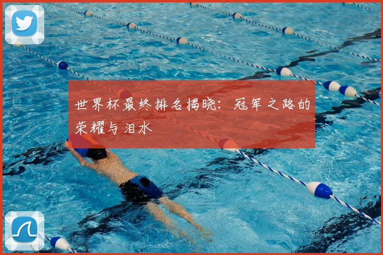 世界杯最终排名揭晓：冠军之路的荣耀与泪水
