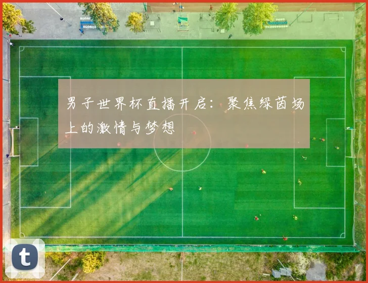 男子世界杯直播开启：聚焦绿茵场上的激情与梦想