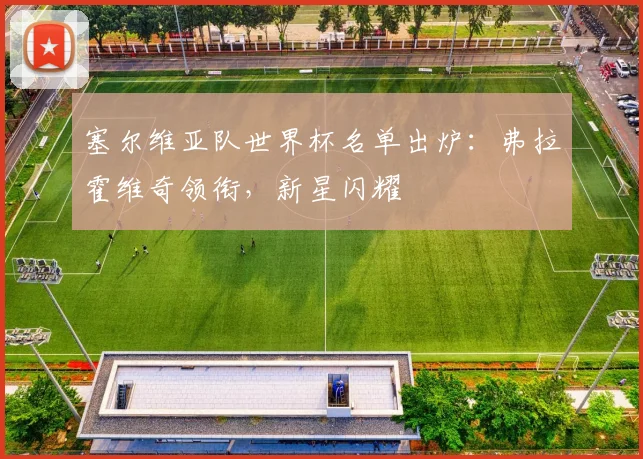 塞尔维亚队世界杯名单出炉:弗拉霍维奇领衔,新星闪耀