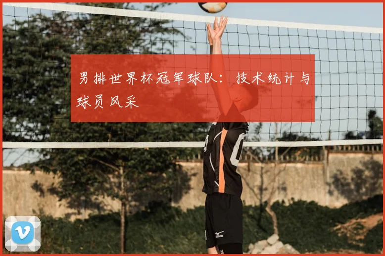 男排世界杯冠军球队：技术统计与球员风采