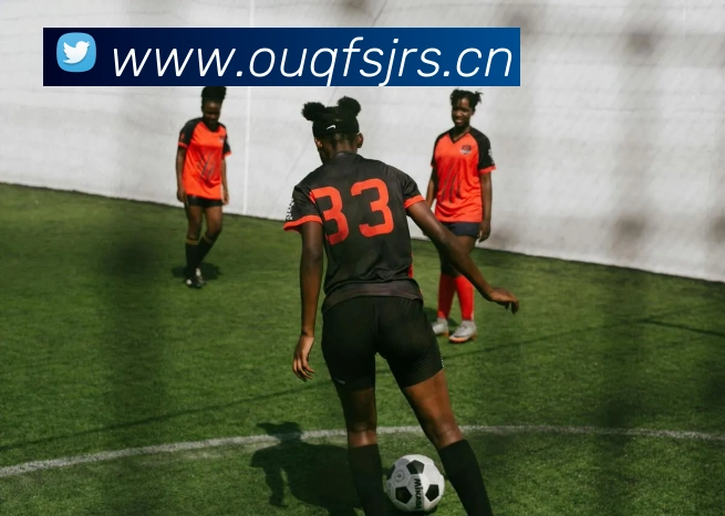 乐鱼官方网站登录入口平台生态图